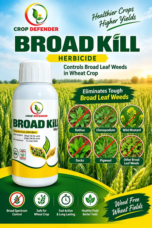 Broad Kill poster
