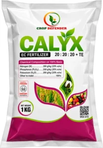 Calyx