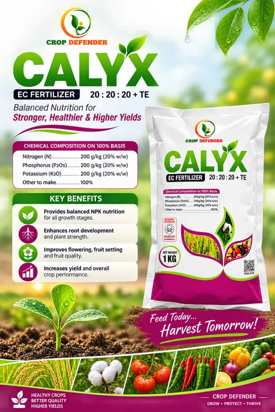 Calyx poster