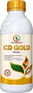 CD Gold