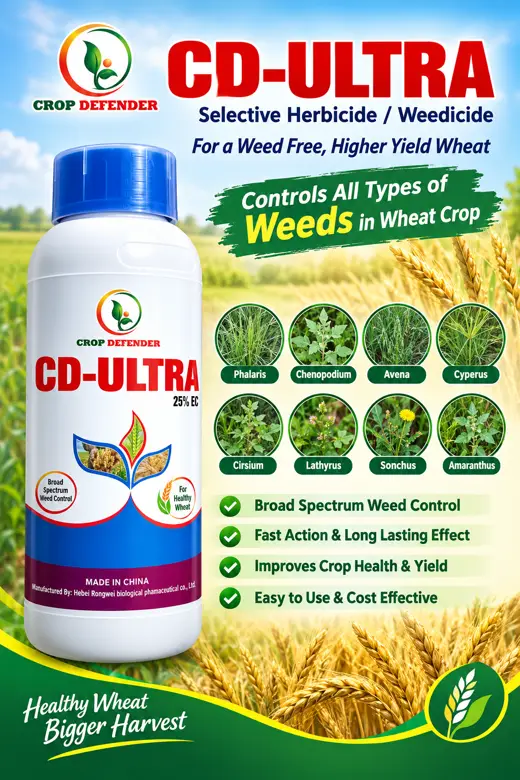 CD-Ultra poster