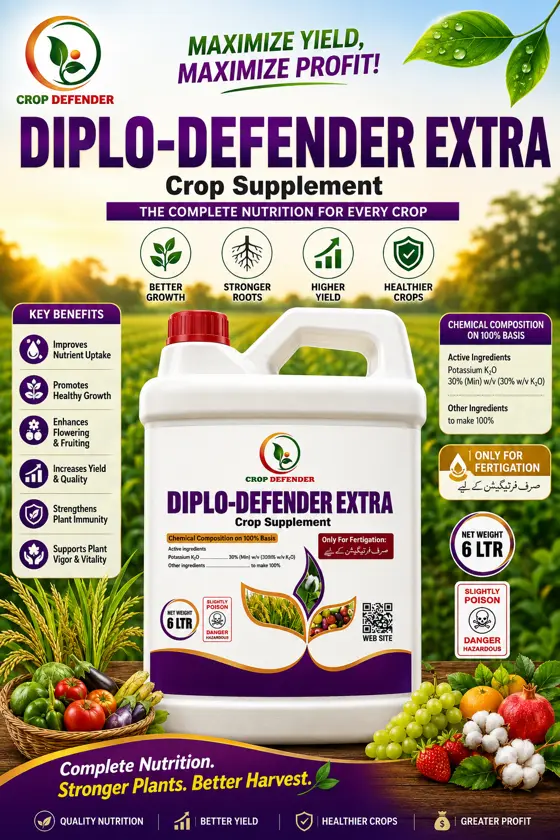 Diplo-Defender Extra poster