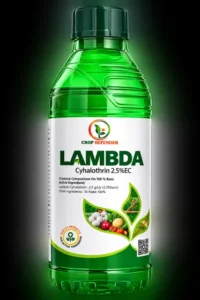 Lambda