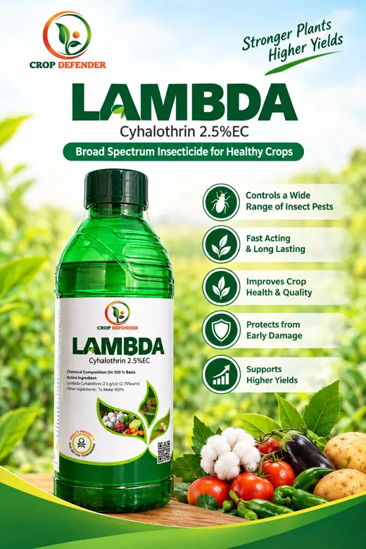 Lambda poster