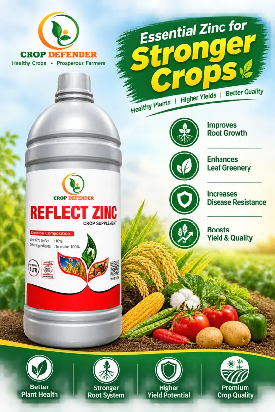 Reflect Zinc poster