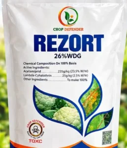Rezort
