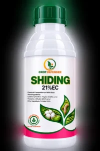 Shiding