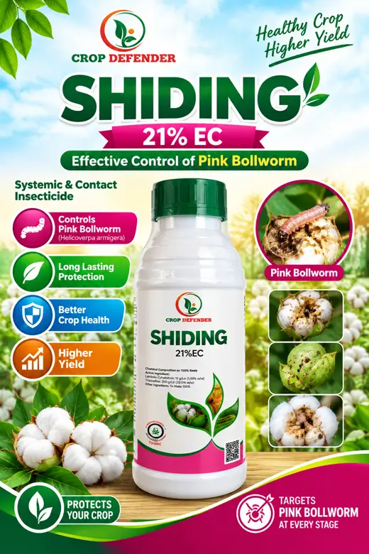 Shiding poster