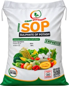 SOP