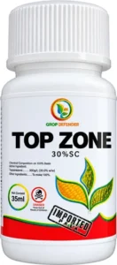 Top Zone